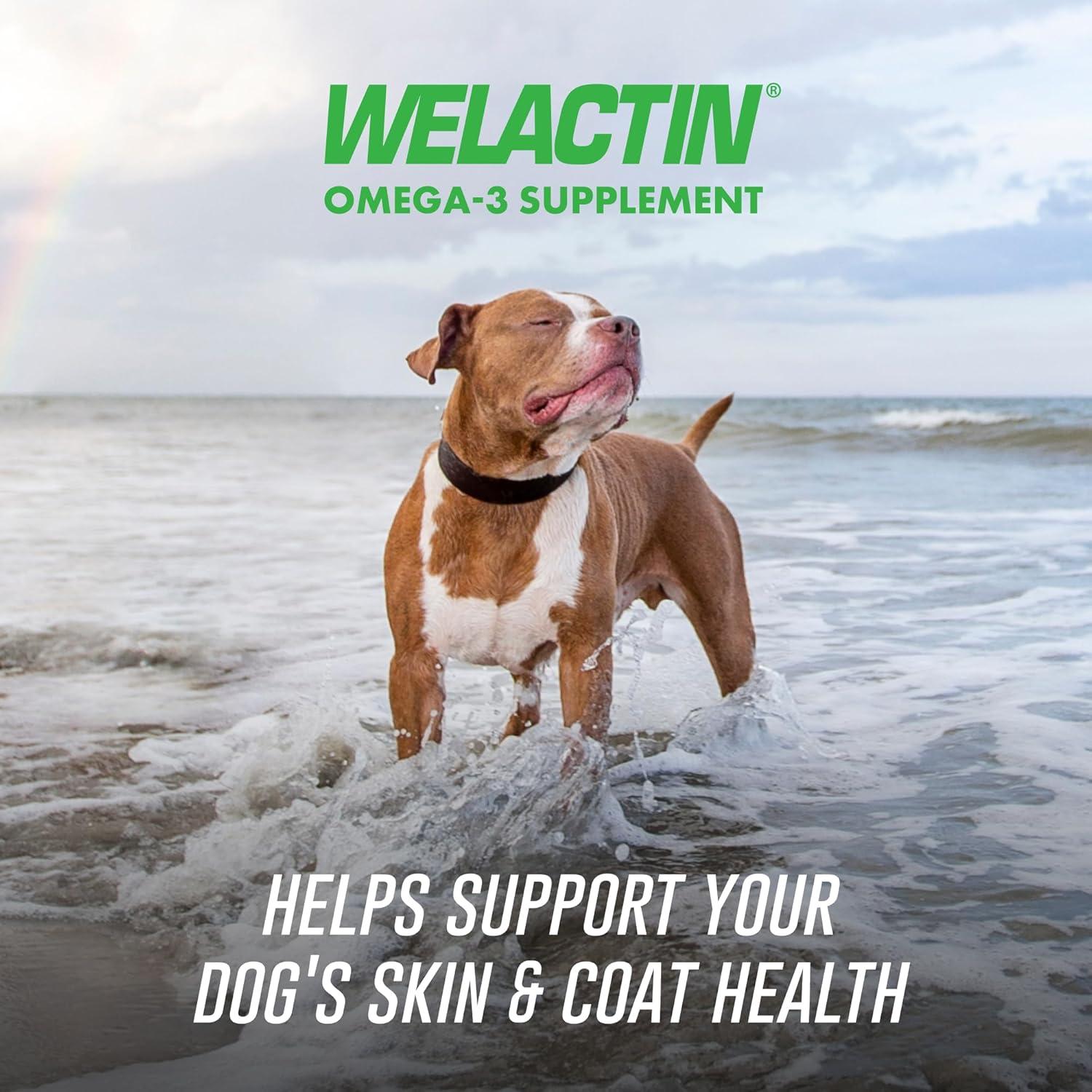 image:imageNutramax Welactin Omega 3 Fish Oil for Dogs Skin and Coat Health Supplement Plus Immune and Overall Health Premium Omega 3 Fatty Acids Multivitamin For Dogs Soft Chews 60 Count