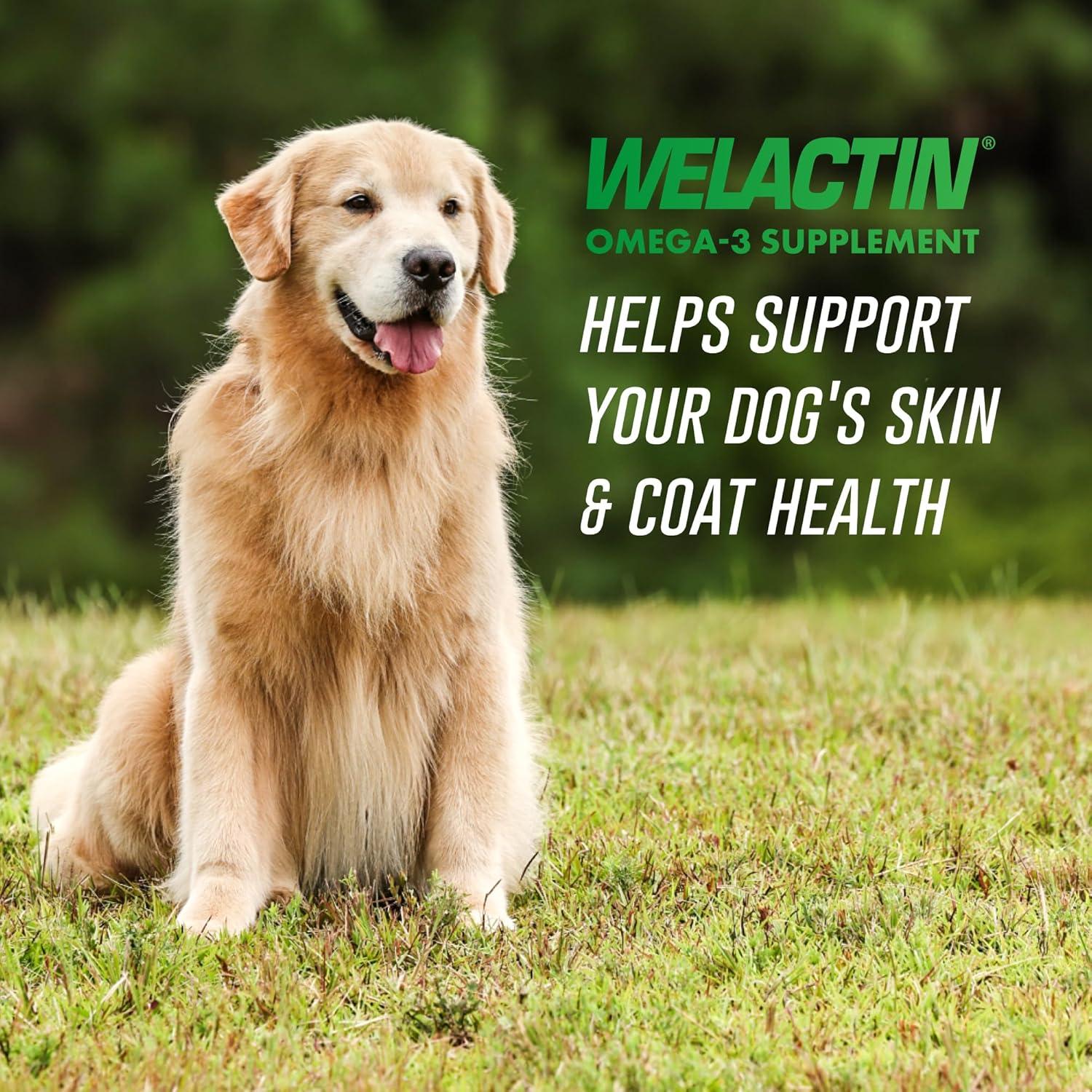 image:imageNutramax Welactin Omega 3 Fish Oil for Dogs Skin and Coat Health Supplement Plus Joint Immune Kidney and Brain Support Premium Omega 3 Fatty Acids For Dogs 16 Ounce Liquid16 oz 480 mL