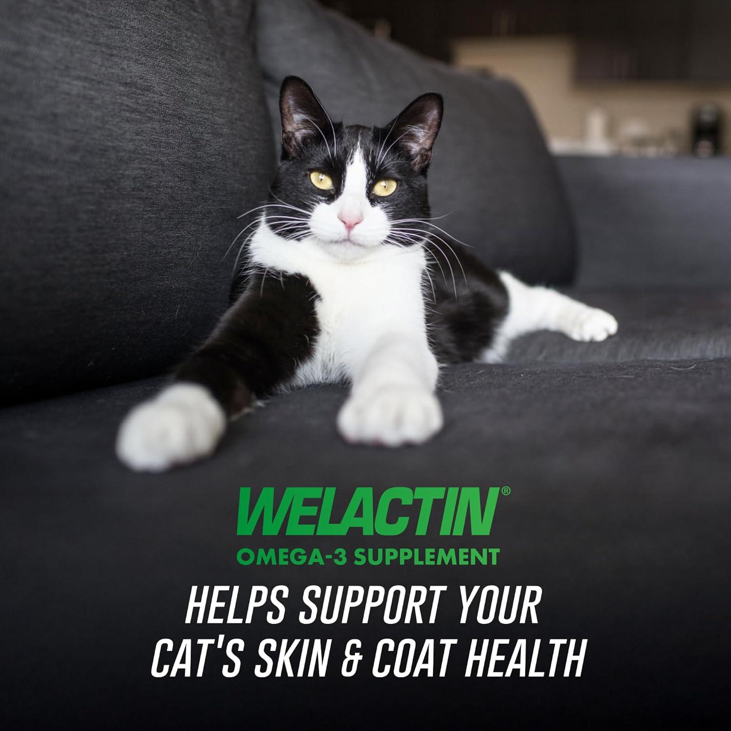 image:imageWelactin Omega3 Skin and Coat Support Liquid 4 oz Green125
