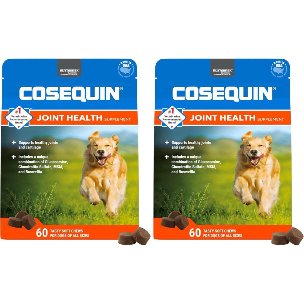image:imageNutramax Laboratories Cosequin DS Plus MSM Professional Line for Dogs 60 Soft Chews2 Pack