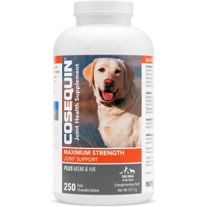 Nutramax Cosequin Maximum Strength Joint Health Supplement for Dogs – With Glucosamine, Chondroitin, MSM, and Hyaluronic Acid, 250 Chewable Tablets