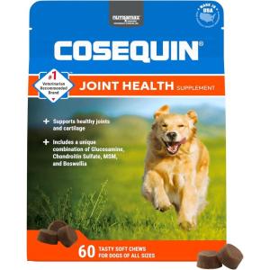 Nutramax Laboratories Cosequin DS Plus MSM Professional Line for Dogs, 60 Soft Chews(1 Pack)