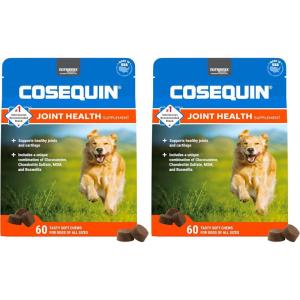 Nutramax Laboratories Cosequin DS Plus MSM Professional Line for Dogs, 60 Soft Chews(2 Pack)