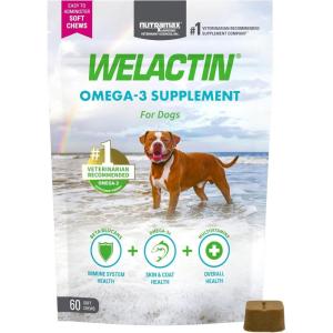 Nutramax Welactin Omega 3 Fish Oil for Dogs, Skin and Coat Health Supplement, Plus Immune and Overall Health, Premium Omega 3 Fatty Acids, Multivitamin For Dogs, Soft Chews, 60 Count