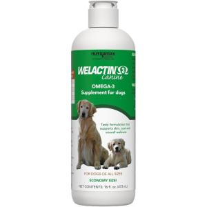 Nutramax Welactin Omega 3 Fish Oil for Dogs, Skin and Coat Health Supplement, Plus Joint, Immune, Kidney, and Brain Support, Premium Omega 3 Fatty Acids, For Dogs, 16 Ounce Liquid(16 oz (480 mL))