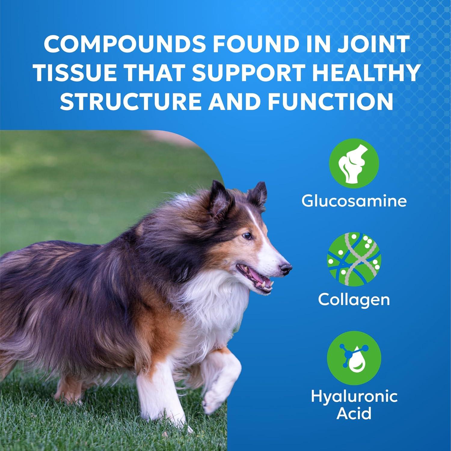 image:imageNutramax Laboratories Cosequin Elements Dog Joint Health Supplement with Glucosamine Green Lipped Mussel Eggshell Membrane amp Hyaluronic Acid 75 Tasty Chewable Tablets for Dogs